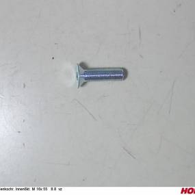 Sesmi 16 X 55 Din En Iso 10642 8.8 Vz. Horsch 00370568