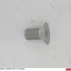 Senkschr. Innen6Kt. M 16X 1.5 X 30 Geom. Horsch 00370578