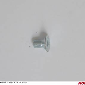 Sesmi 16 X 25 Din En Iso 10642 8.8 Vz. Horsch 00370587