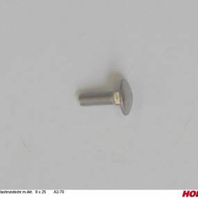 Flachrundschr.m.4Kt. 8 X 25 A2-70 (00370939) Horsch