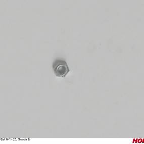 Ssm 1/4" - 20, Grande B Horsch 00401913