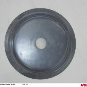 Packerscheibe Ø 600 P08192 Horsch 00440260