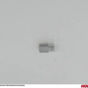 Gai Ig 6L - Ag M10X1 Horsch 04000771