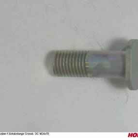 Bolzen F.schubstange Crossb. Dc M24X70 Horsch 23502101
