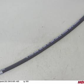 Hsdn10 2Sc Dkol12 Dkol12 550 Horsch 00120036