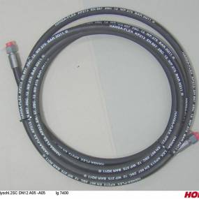 Hsdn12 2Sc Dkol15 Dkol15 7400 Horsch 00120574