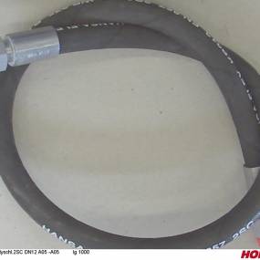 Hsdn12 2Sc Dkol15 Dkol15 1000 Horsch 00120581