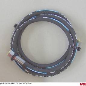 Hsdn08 2Sc Dkol12 Dkol12 2100 Horsch 00120629