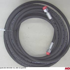 Hsdn08 2Sc Dkol12 Dkol12 10700 Horsch 00120784