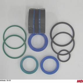 Dichtsatz 50-30 Horsch 00130398