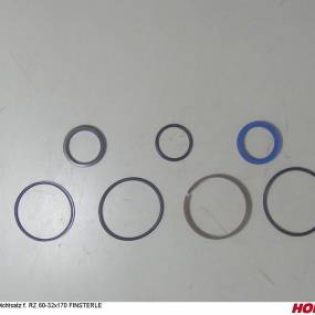 Dichtsatz F. Rz 60-32X170 Finsterle Horsch 00130629