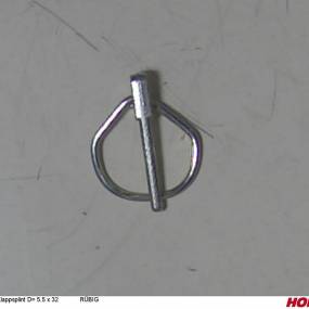 Klappsplint D= 5.5 X 32 Rübig Horsch 00170216
