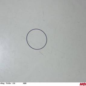 O-Ring 69.00X 1.50 Nbr 70 Shore Horsch 00260182