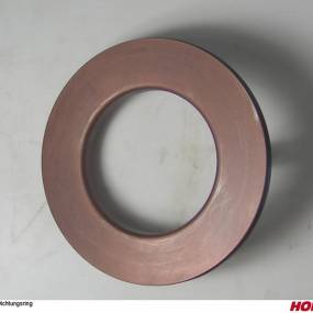 Dichtring Horsch 00310638