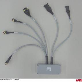 Kabelbaum Hsa - 2 X Motor Horsch 00346061