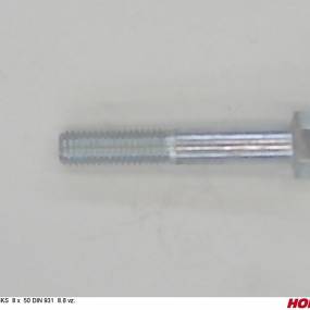 Sks 8 X 50 Din 931 8.8 Vz. Horsch 00360010