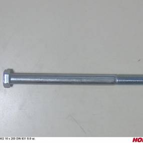 Sks 16 X 200 Din 931 8.8 Vz. Horsch 00360066