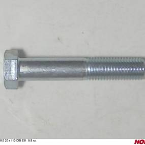 Sks 20 X 110 Din 931 8.8 Vz. Horsch 00360075
