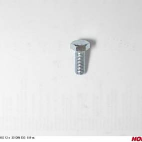 Sks 12 X 30 Din 933 8.8 Vz. (00360132) Horsch