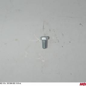 Sks 16 X 30 Din 933 8.8 Vz. Horsch 00360148