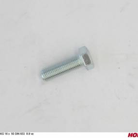 Sks 16 X 50 Din 933 8.8 Vz. Horsch 00360151