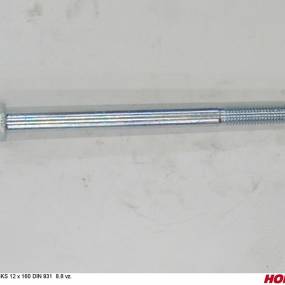 Sks 12 X 160 Din 931 8.8 Vz. Horsch 00360335