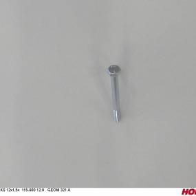 Sks 12X1,50 X 115 Din 931 12.9 Geom321A Horsch 00360811