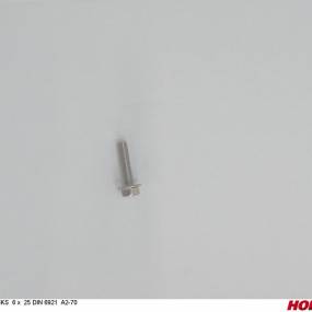 Sks 6 X 25 Din 6921 A2-70 Horsch 00360893