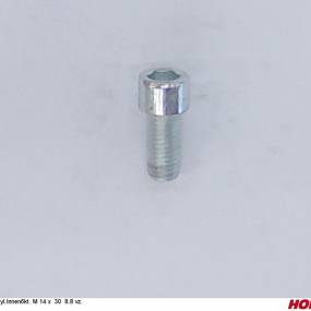 Zyl.innen6Kt. M 14 X 30 8.8 Vz. Horsch 00370141