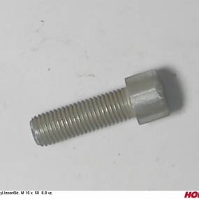 Zyl.innen6Kt. M 16 X 50 8.8 Vz. Horsch 00370197