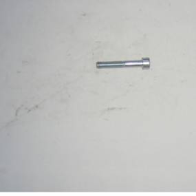 Zyl.innen6Kt. M 8 X 50 8.8 Vz. Horsch 00370256