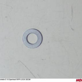 Scheibe D 16 Sperrkant Ripp-Lock Geom Horsch 00370626