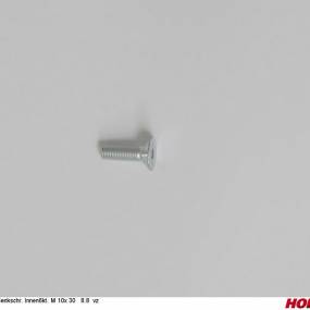 Sesmi 10 X 30 Din En Iso 10642 8.8 Vz. Horsch 00370697