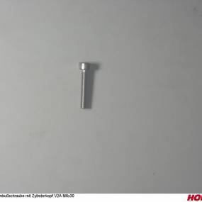 Imbusschraube mit Zylinderkopf V2A M6X30 Horsch 00370748