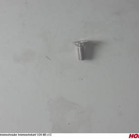 Linsenschraube 5X12 Iso7380-1 V2A Horsch 00370791