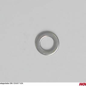 Scheibe B17 V2A (00370815) Horsch