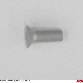 Senkschr. Innen6Kt. M 20X 55 10.9 Geom Horsch 00371018