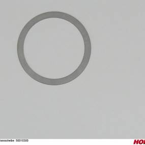 Passscheibe 50010300 Horsch 00385813