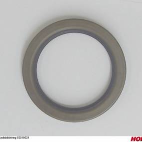 Radialdichtring 82019021 Horsch 00385836