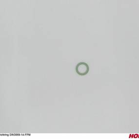 Dichtring Din3869-14-Fpm Horsch 00611927