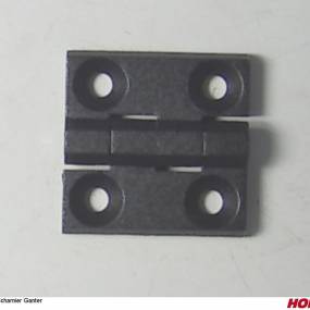 Scharnier Ganter Horsch 04002455