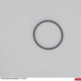 O-Ring T7 Epdm Arag G11017 Horsch