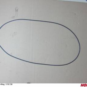 O-Ring, 1170.728 Horsch 04100404