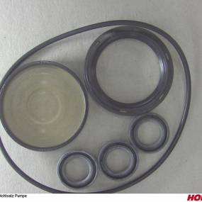 Dichtsatz Öl 2787 Hd-Reiniger Horsch 04105293