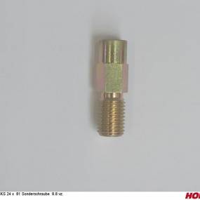 Sks 24 X 85 Sonderschraube 8.8 Vz. Horsch 24548901