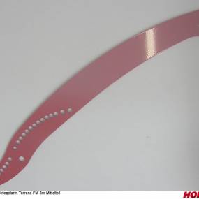 Striegelarm Terrano Fm 3M mittelteil Horsch 34473901