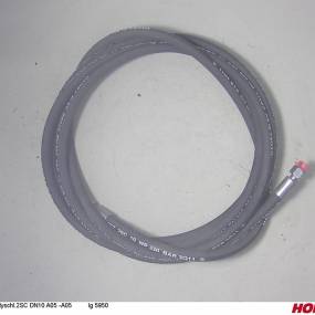 Hsdn10 2Sc Dkol12 Dkol12 5950 Horsch 00120601