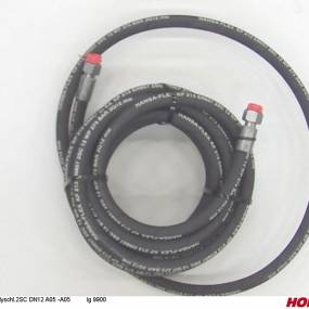 Hsdn12 2Sc Dkol15 Dkol15 9900 Horsch 00120780