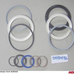 Dichtsatz 120-48 Burnside Horsch 00130390