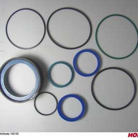 Dichtsatz 100-50 Burnside/Weber Horsch 00130393